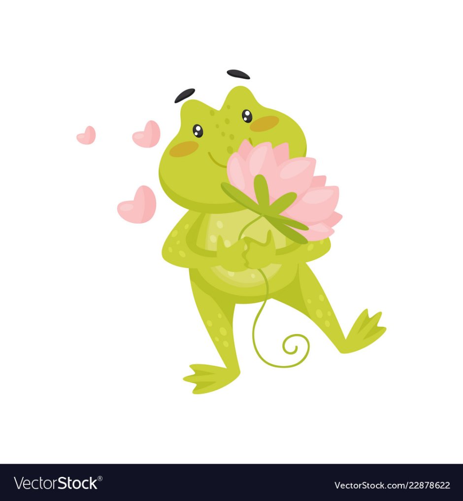 Зеленая лягушка с розовыми лапами