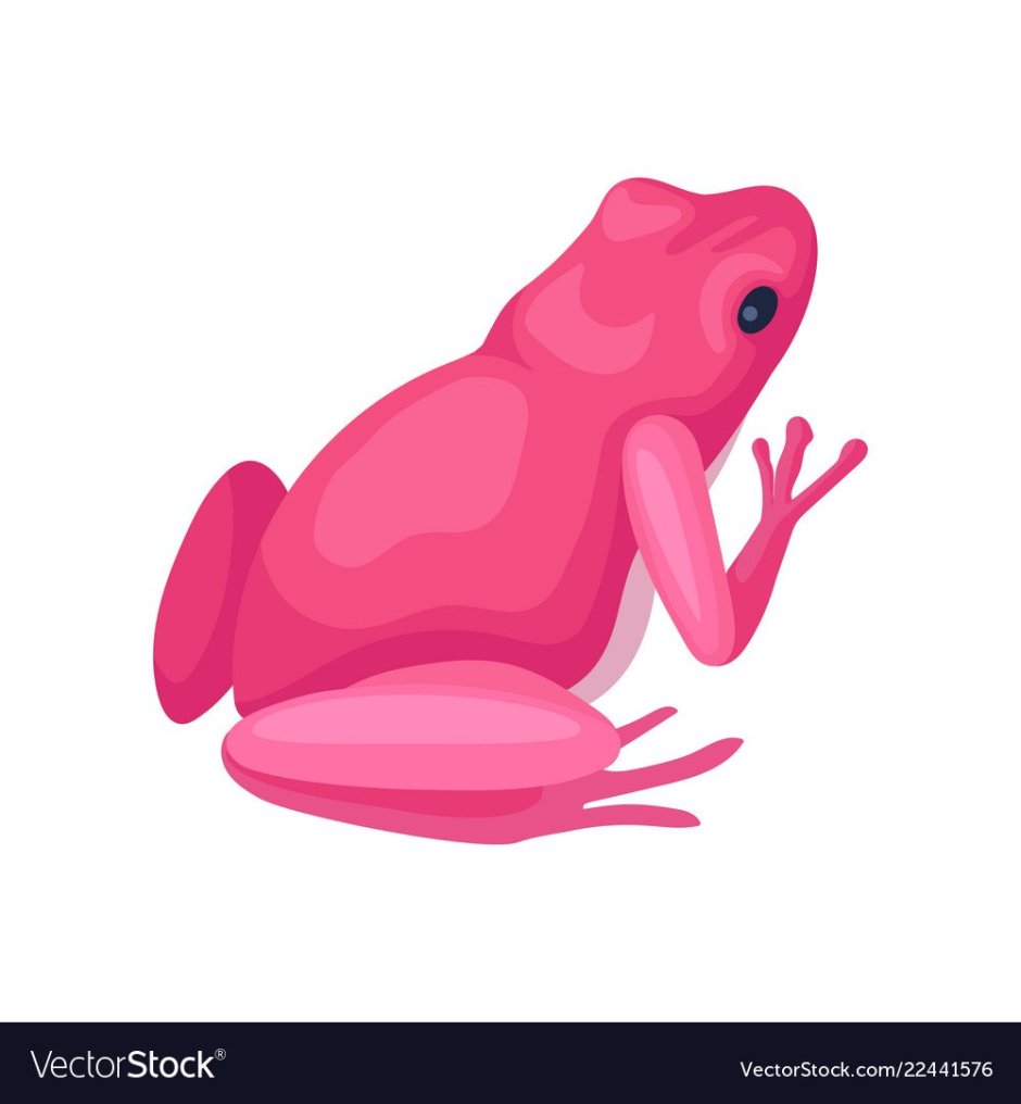 Милые розовые лягушки