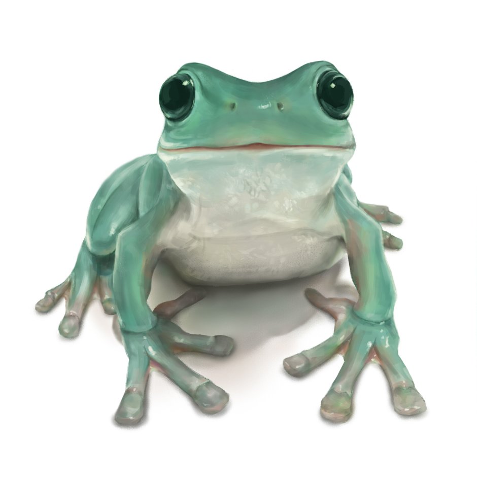 Лягушка Эстетика