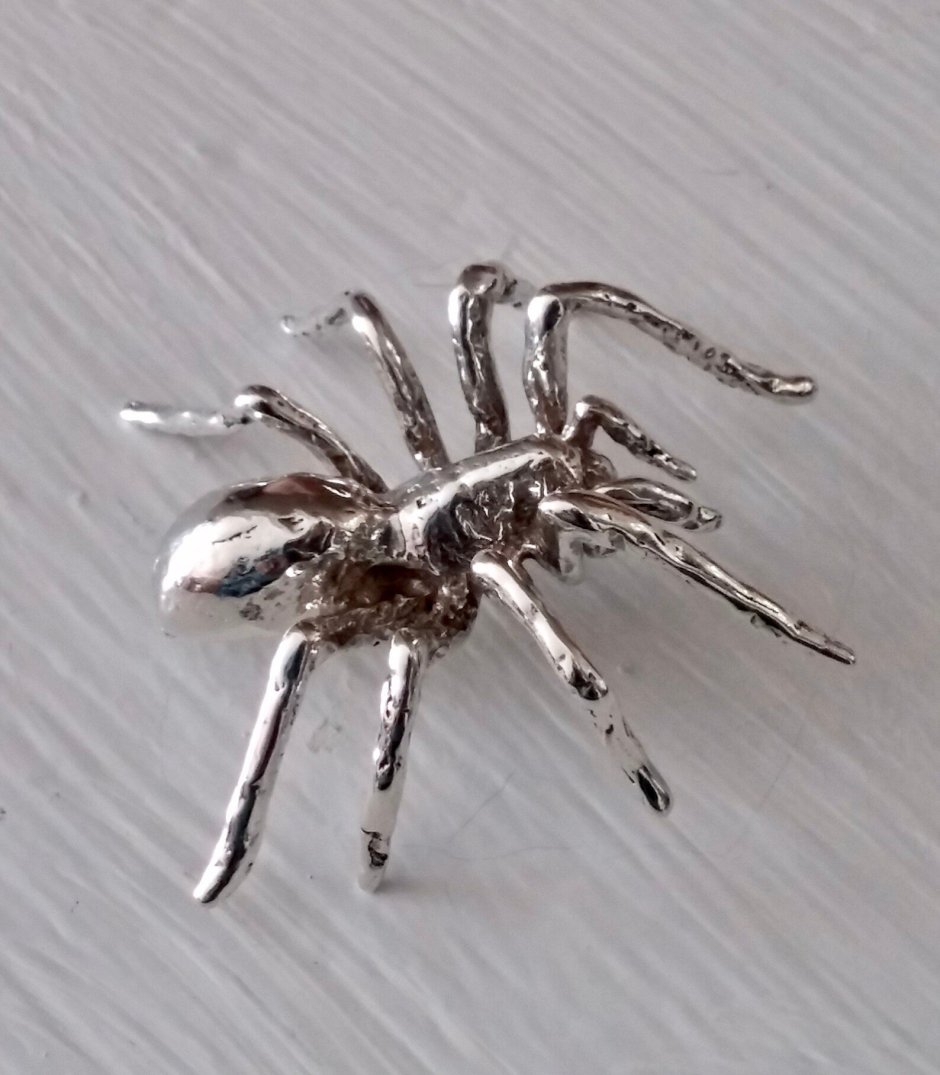 Серебристый паучок