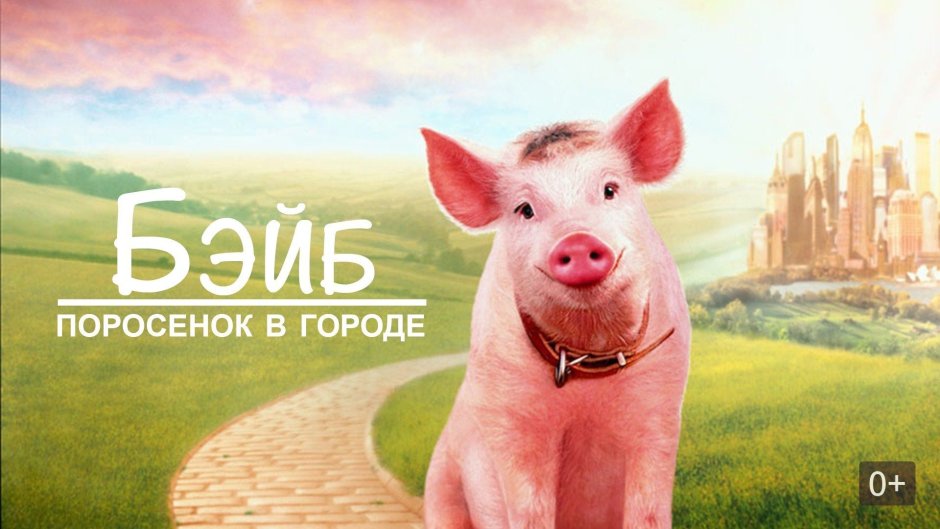 Свинья на белом фоне