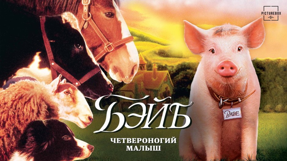 Бэйб: Четвероногий малыш фильм 1995