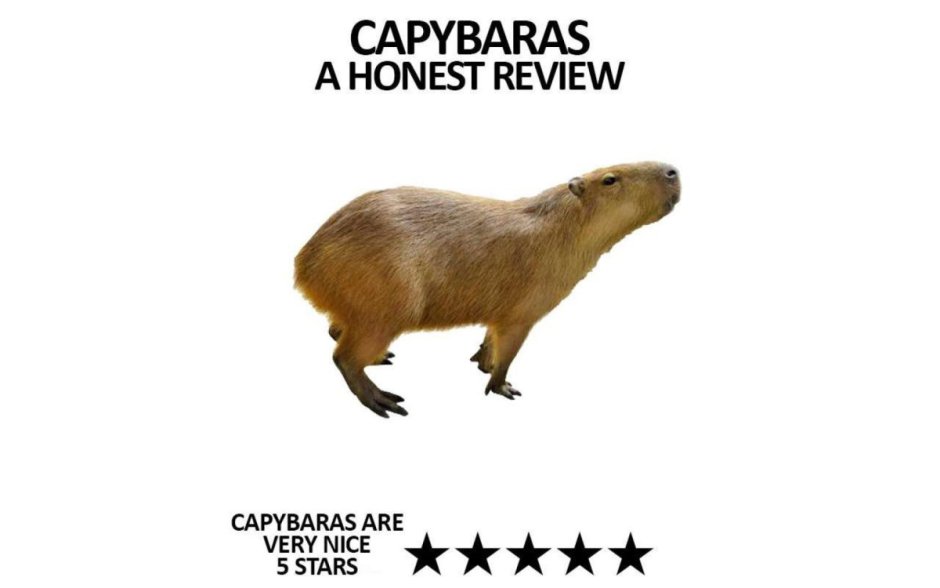 Череп капибары