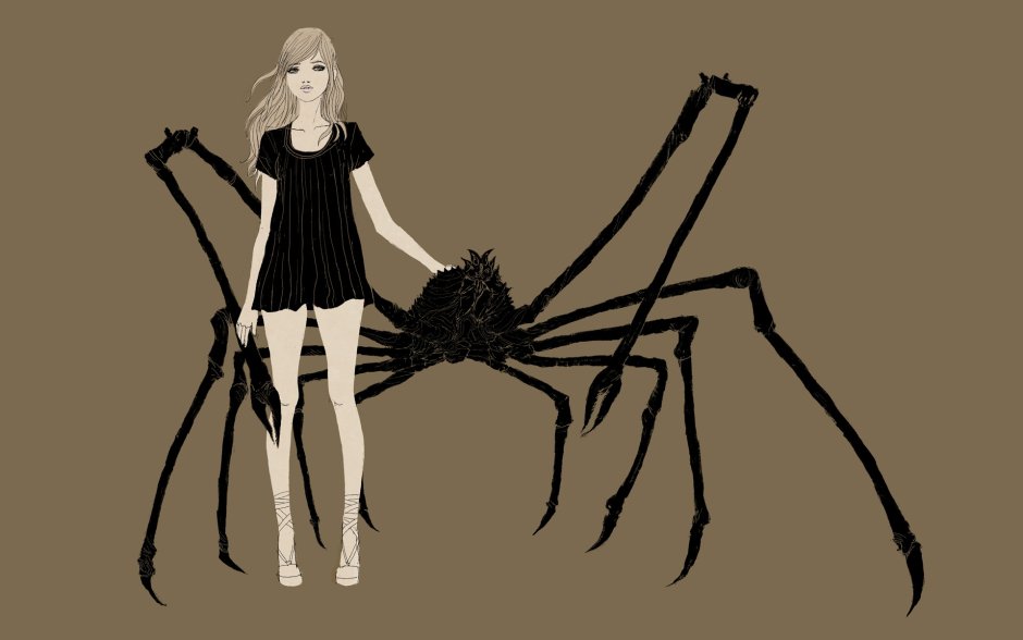 Паук арт