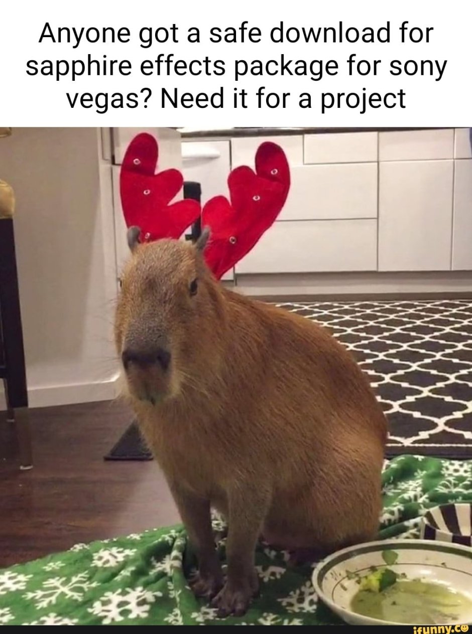 Christmas Capybara