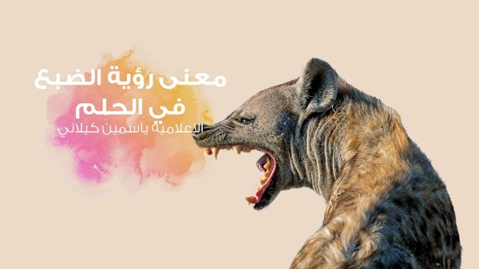 Зубы гиены крупным планом