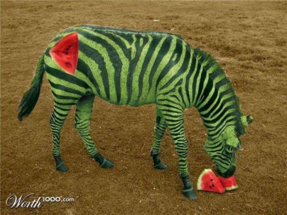 Необычные скрещивания животных