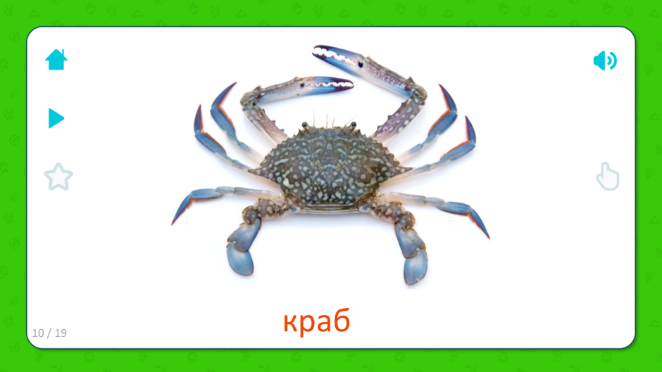 Карточки морские обитатели для детей