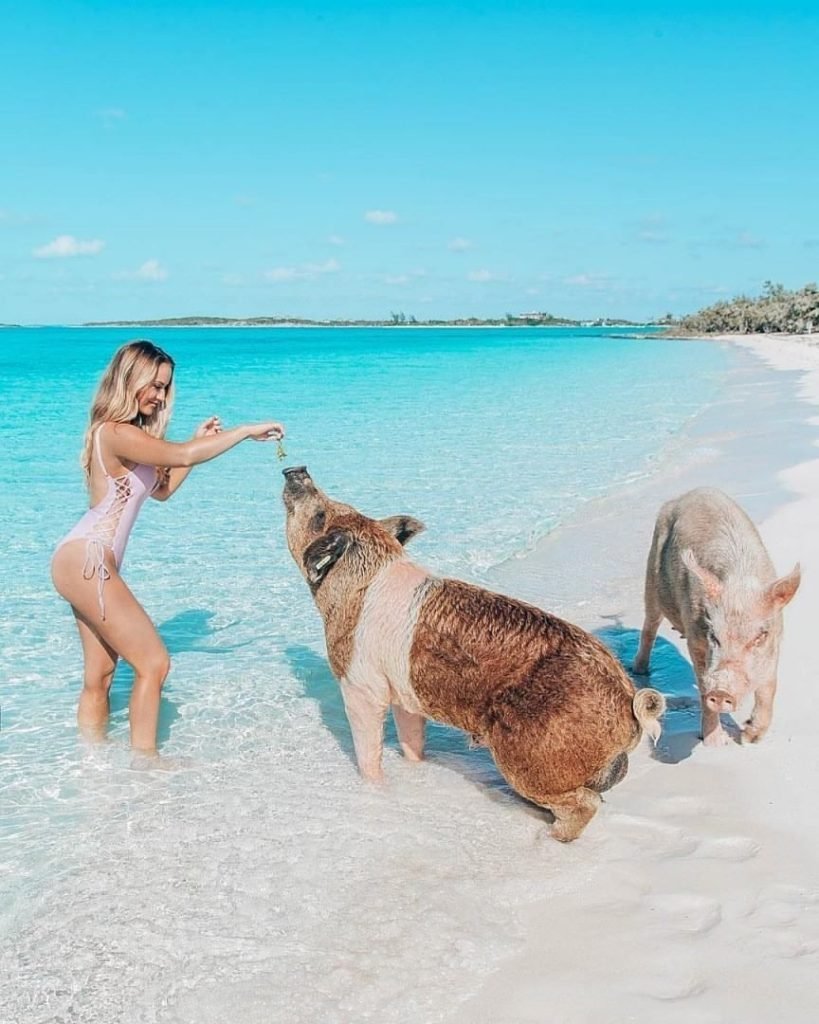 Пиг-Бич Багамские острова