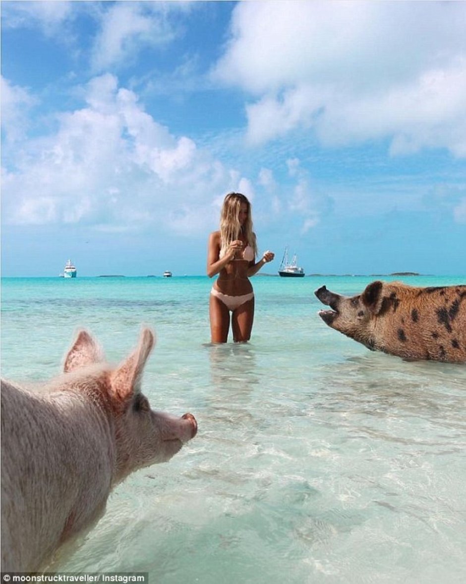 Багамские острова девушки