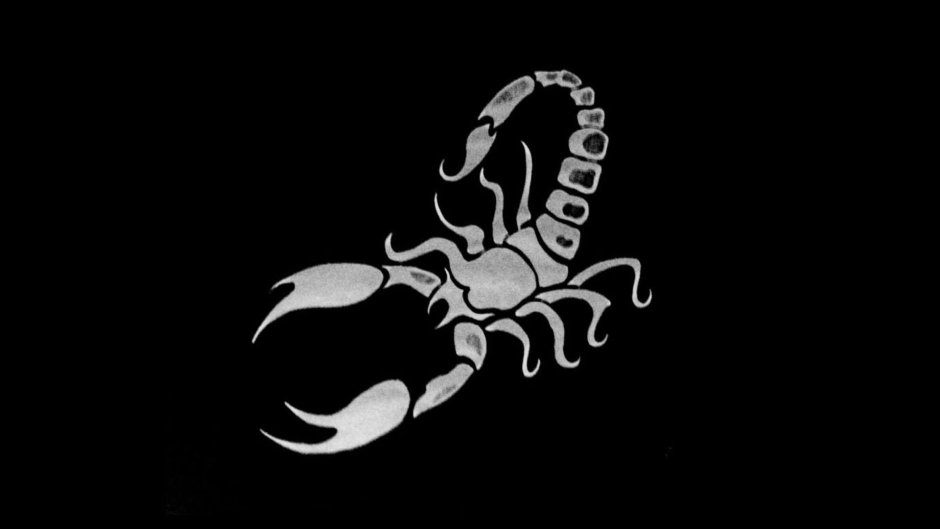 Скорпион Heterometrus cyaneus