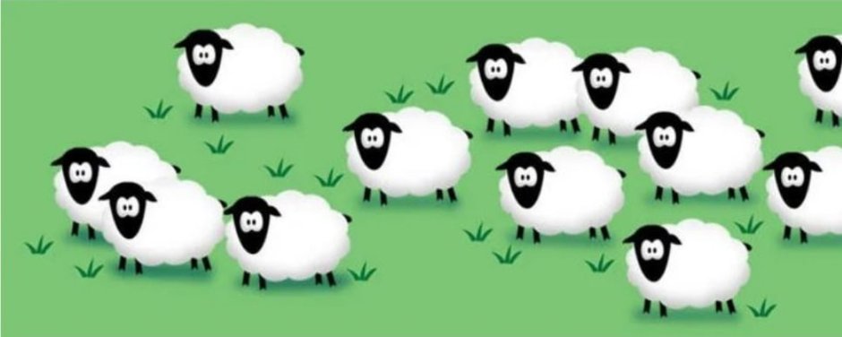Мультяшное стадо овец