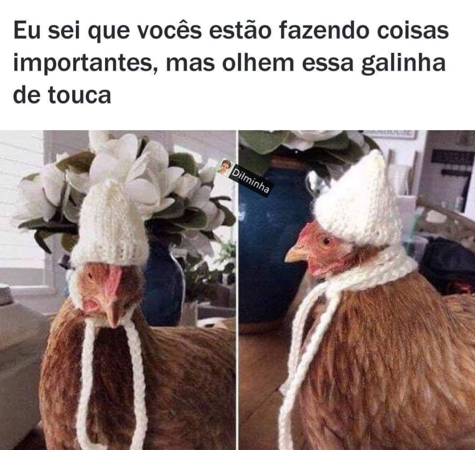 Шапочка курицы