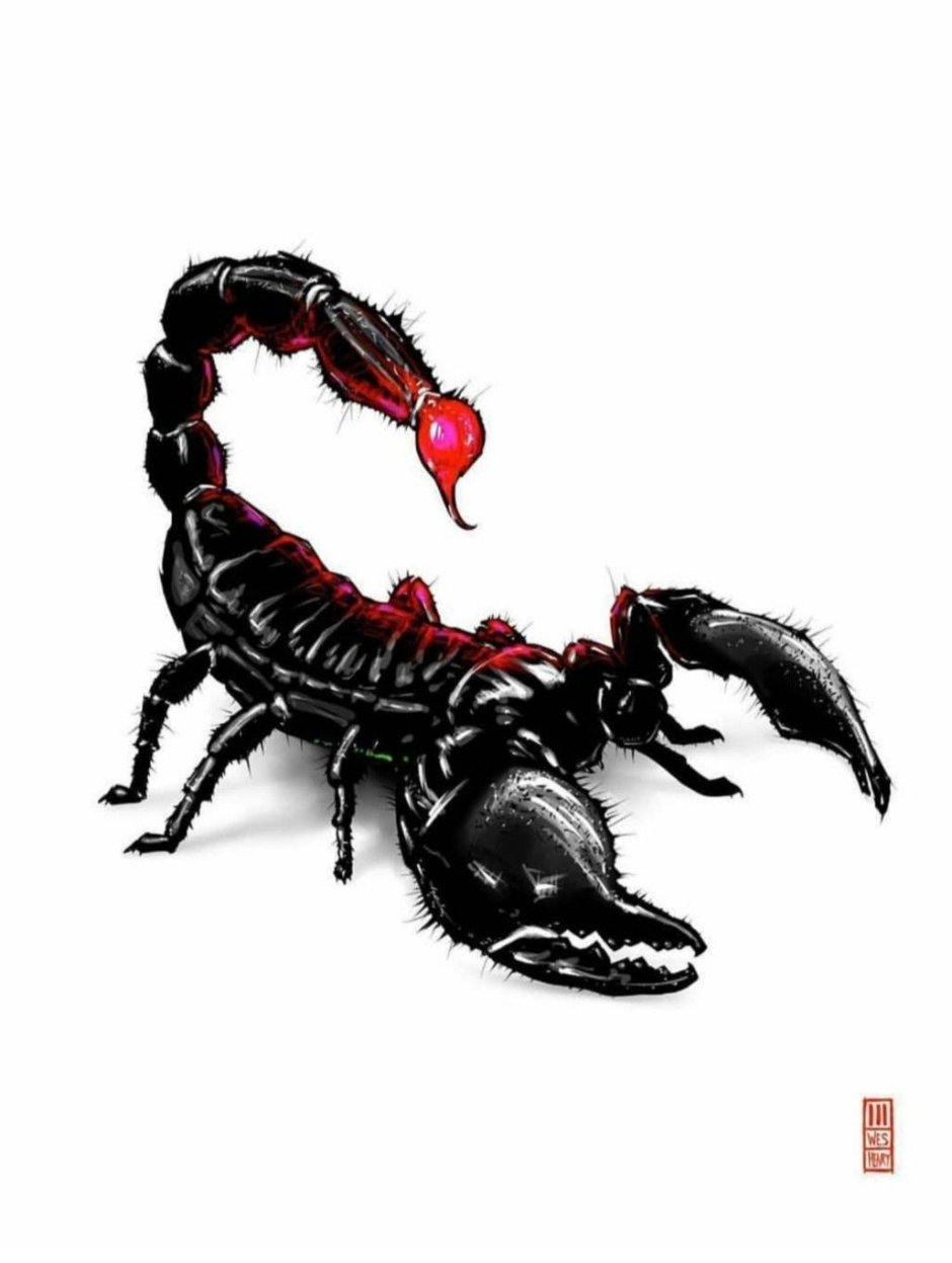 Маленький Скорпион арт