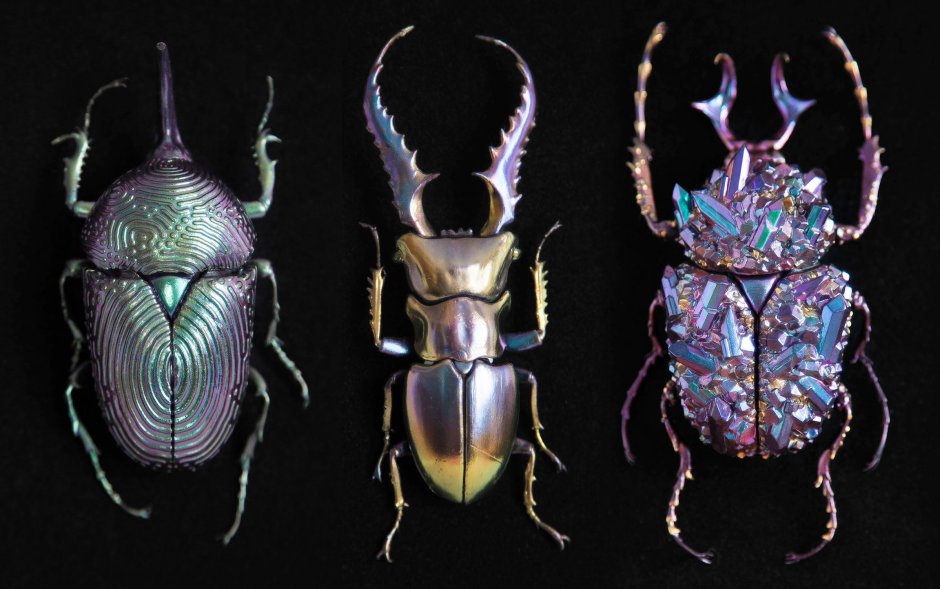 Жуки Эстетика