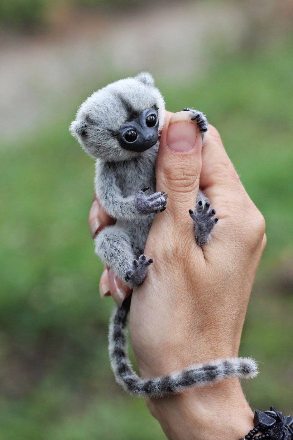 Обезьянка игрунка