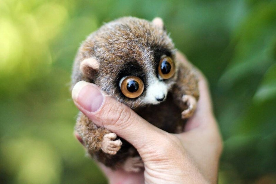 Мадагаскарский карликовый лемур