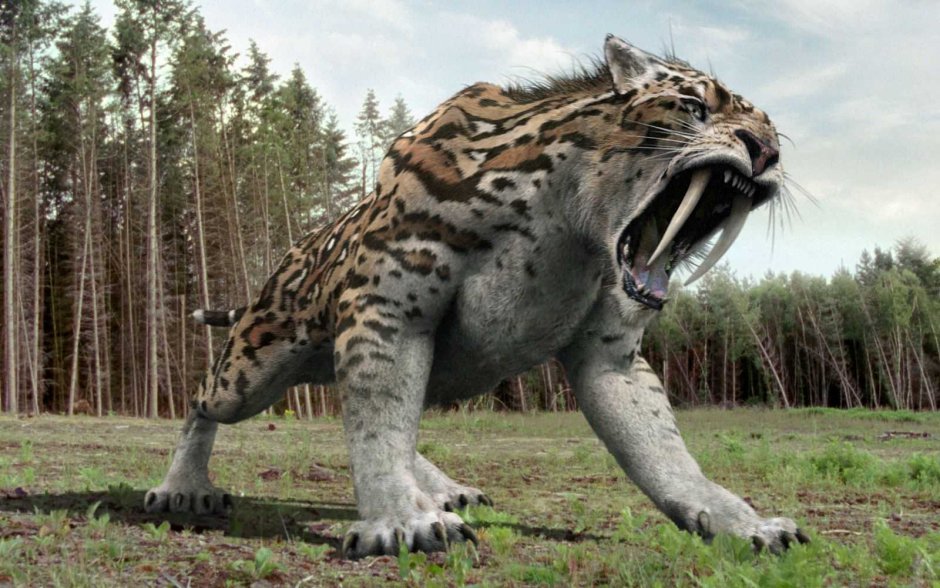 Смилодон прогулки с чудовищами