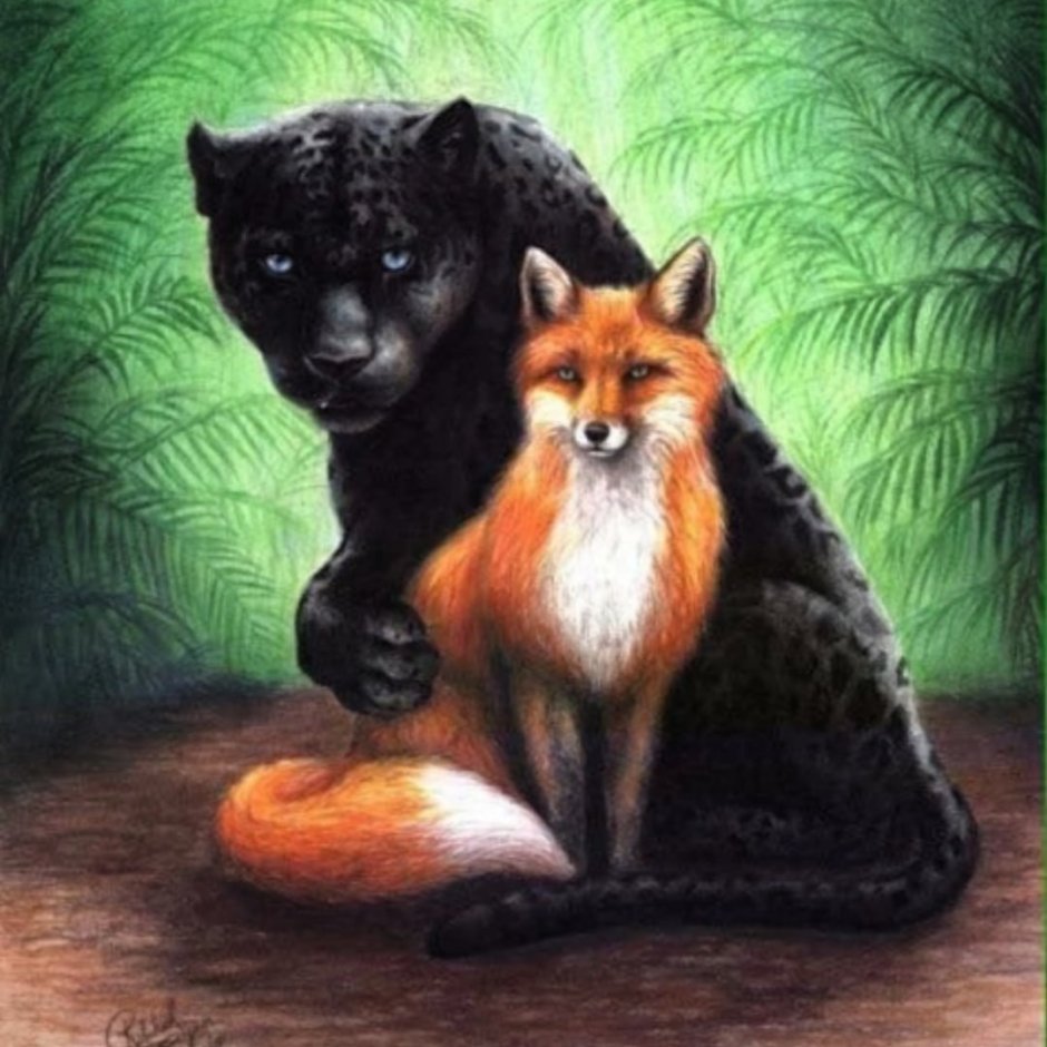 Лис и кошка