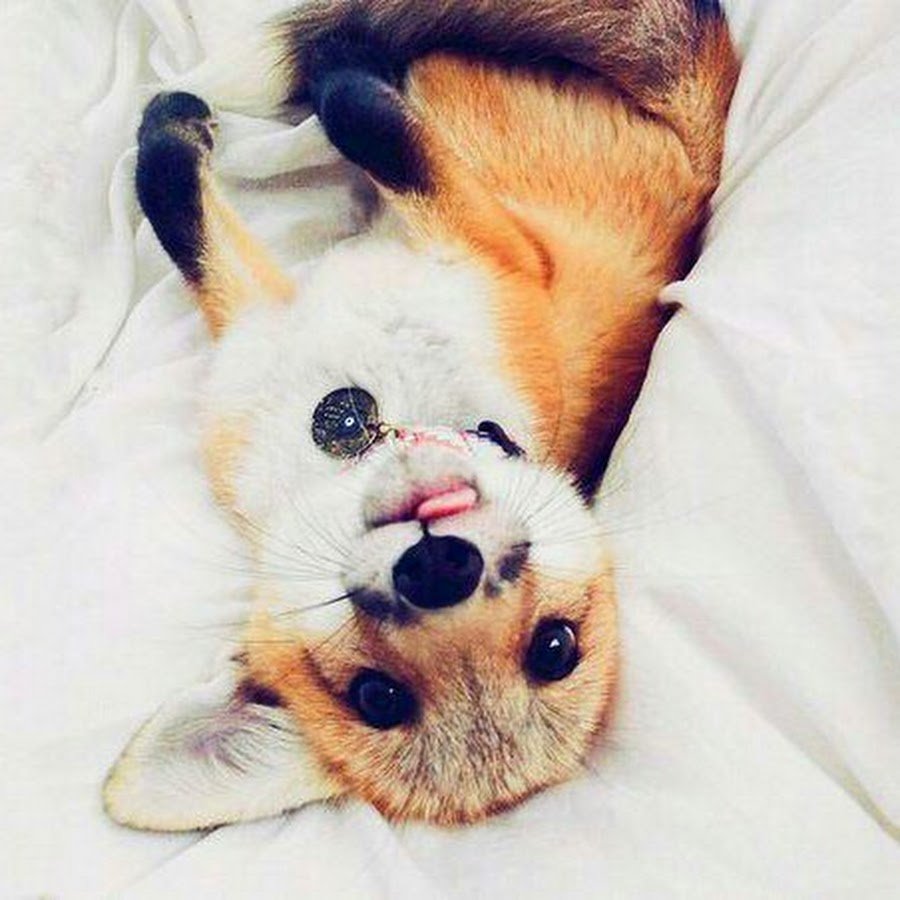 Наталья Малинова Нижний Новгород