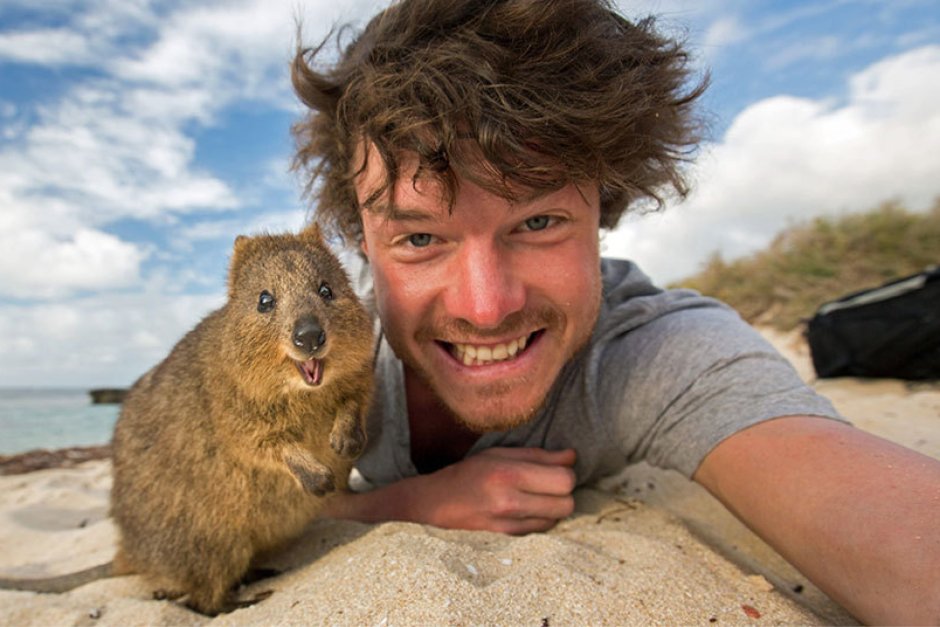 Аллан Диксон