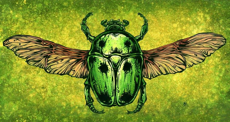 Жук скарабей в живописи