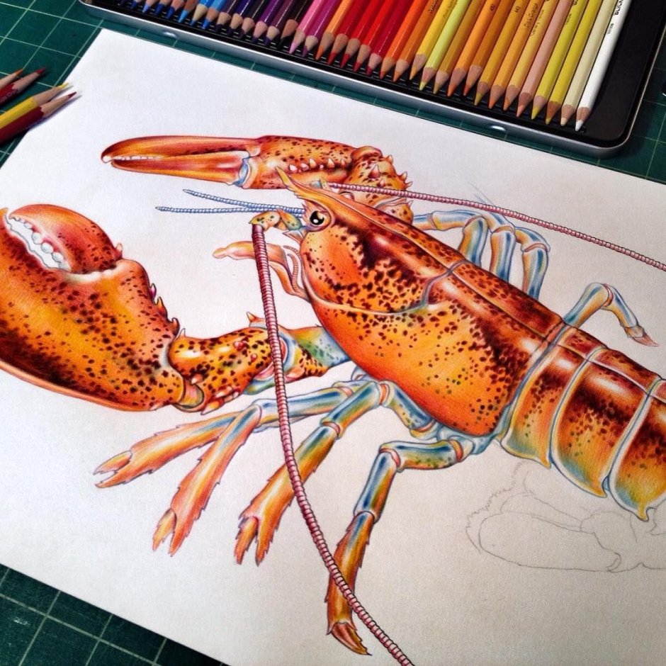 Лобстер арт рисунок
