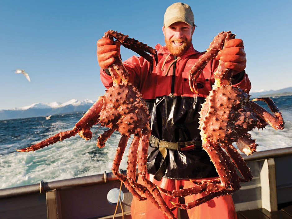 Камчатский краб глубоководный