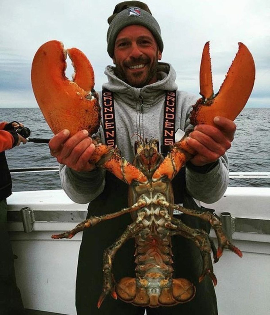 Американский Омар гигантский