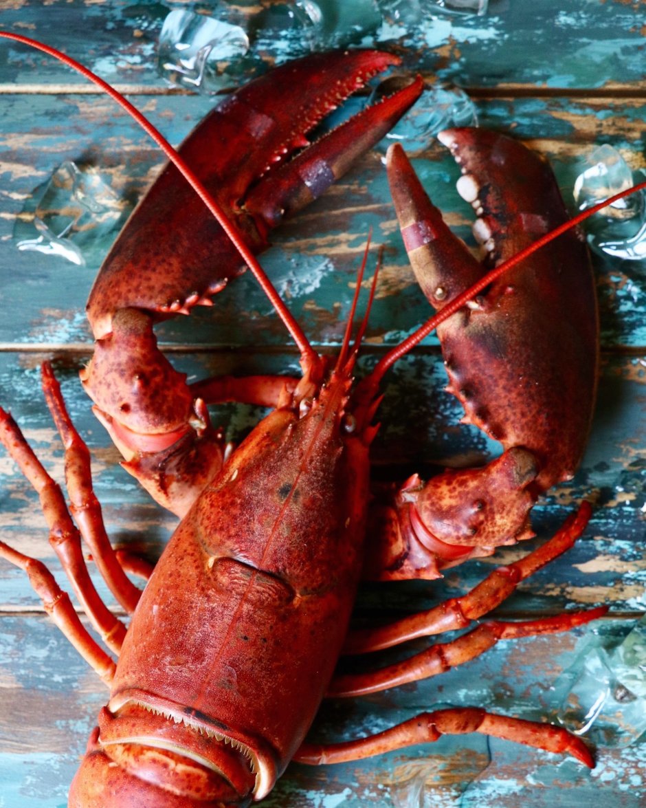 Омар краб лобстер лангуст