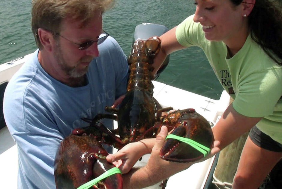 Человек лобстер