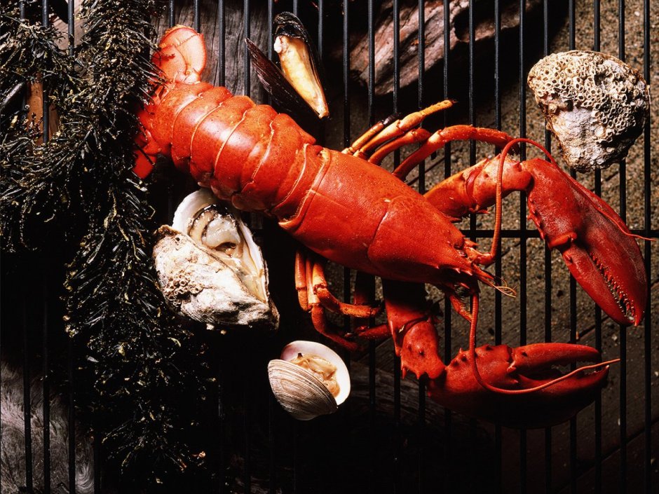 Морепродукты Омар лангуст