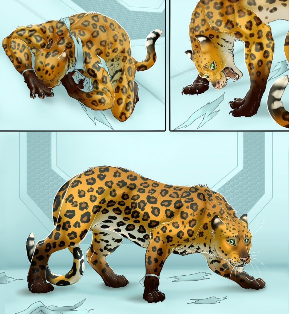 Леопард Vore