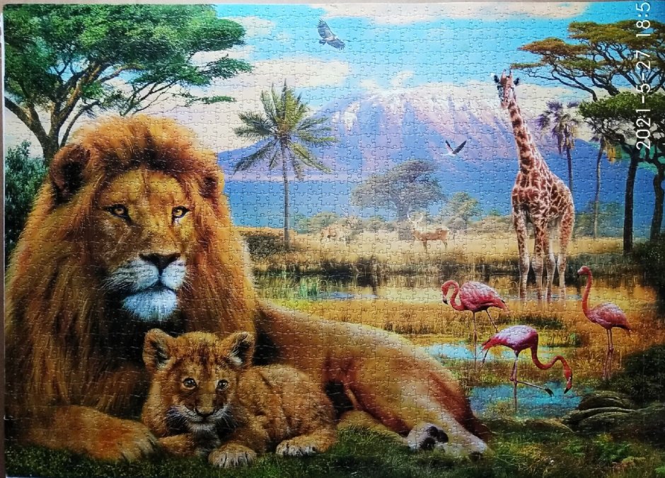 Мозаика "Puzzle" 2000 "Лев"