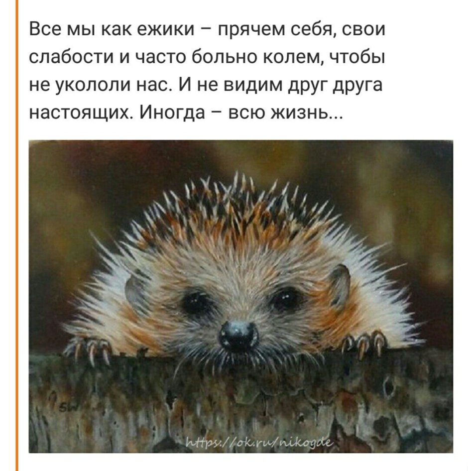 Ежик живопись
