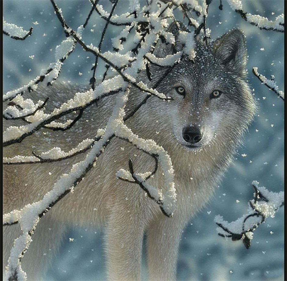 Художник Collin Bogle