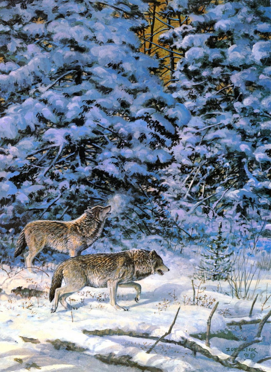 Дикие животные зимой
