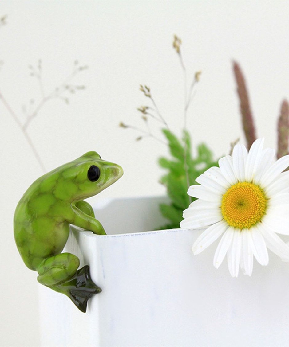 Flower Frog купить