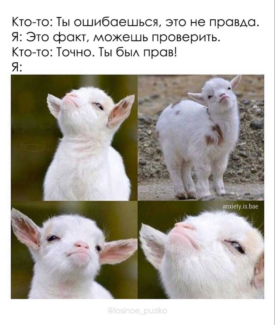 Гордая козочка