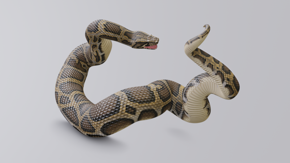 Scipy Python питон