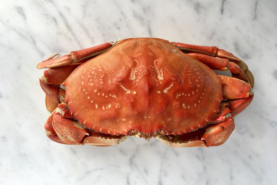 «Крабы!» (Crabs!), 2022