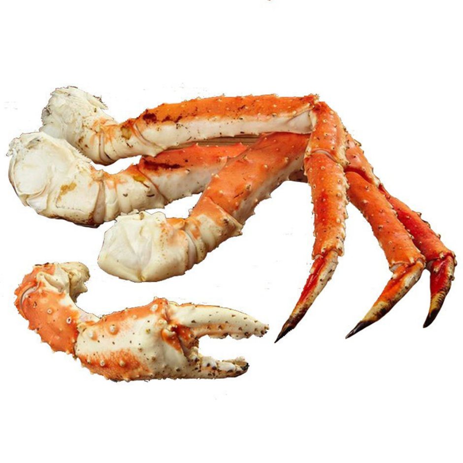 Белый краб