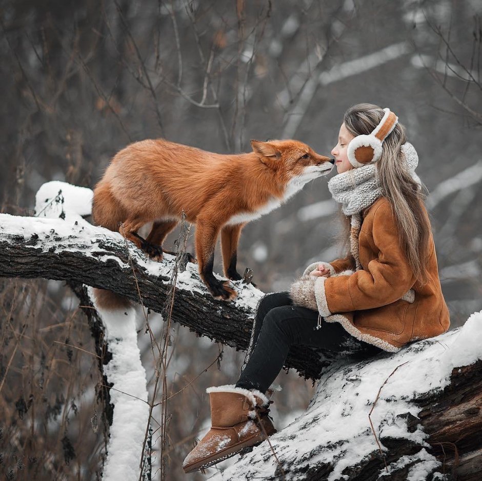 Фотосессия с лисой зимой