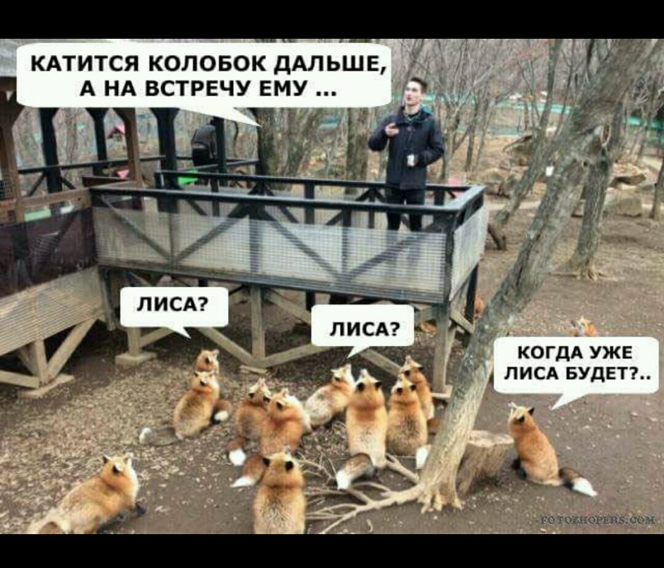 Когда уже лиса будет