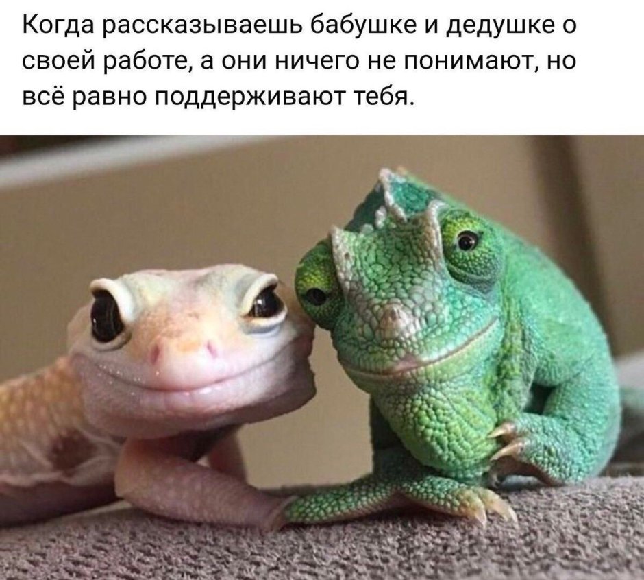 Хамелеон эублефар