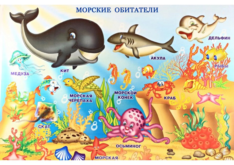 Обитатели моря для детей