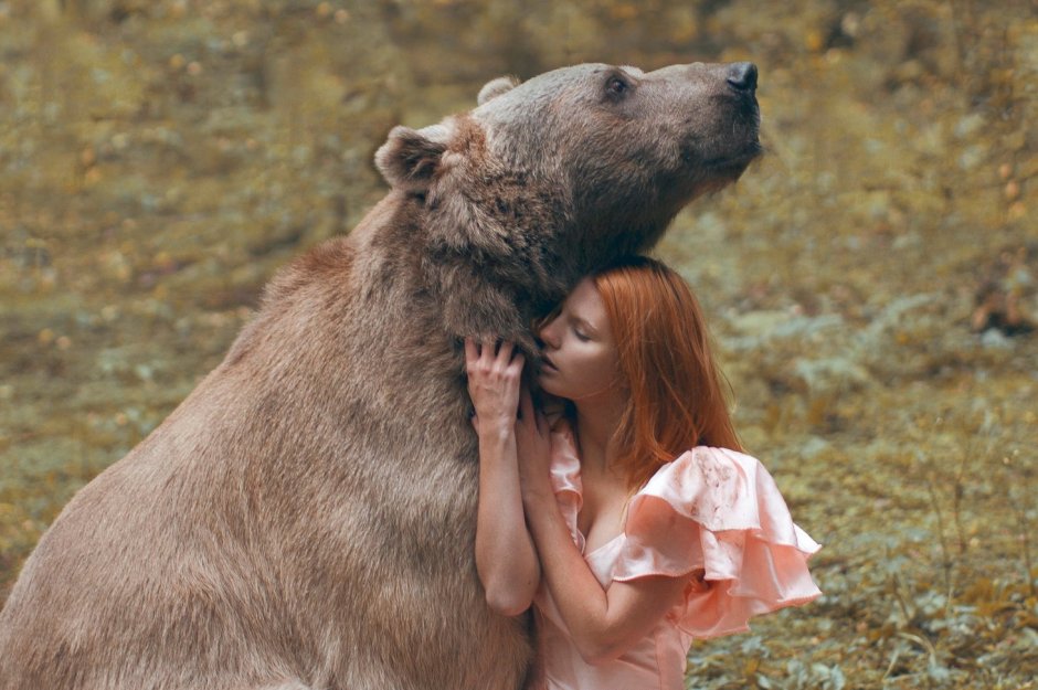 Дикие животные и человек