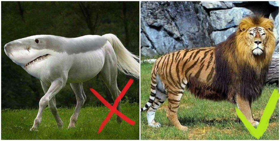 Гибриды животных реальные