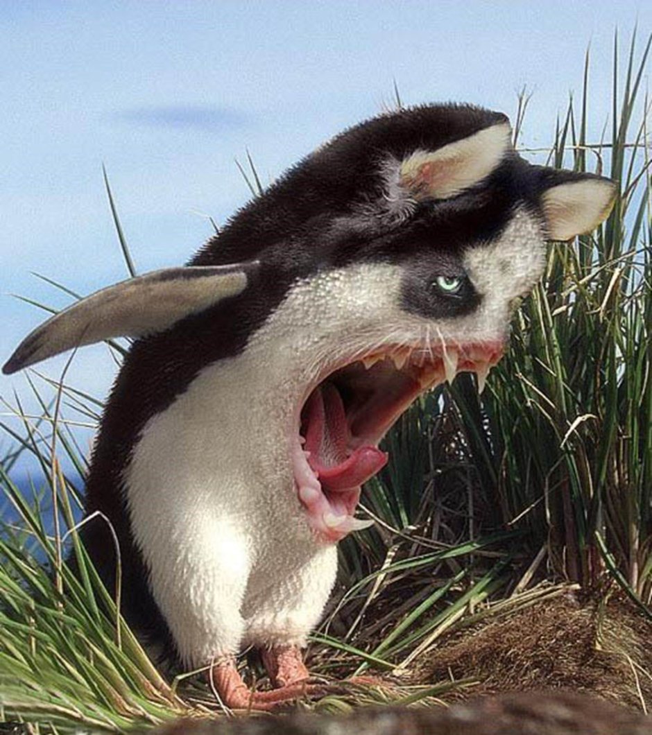 Неведомый зверь