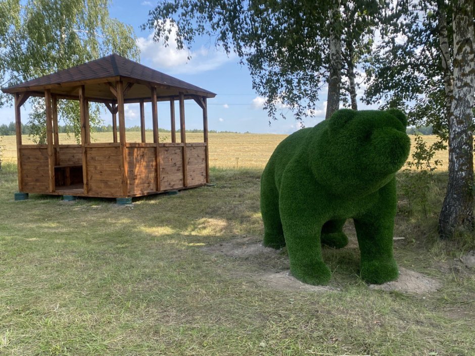 Звездорылый Крот